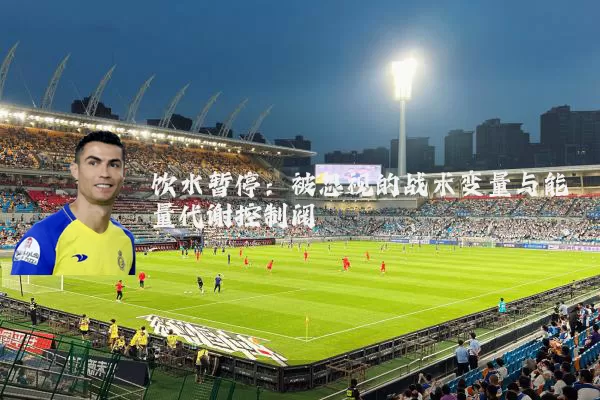饮水暂停:被忽视的战术变量与能量代谢控制阀